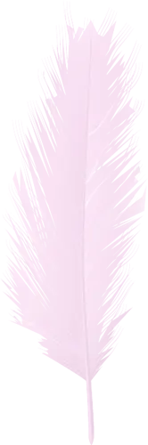 Pink Feather 1