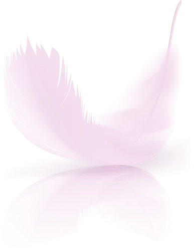 Pink Feather 2
